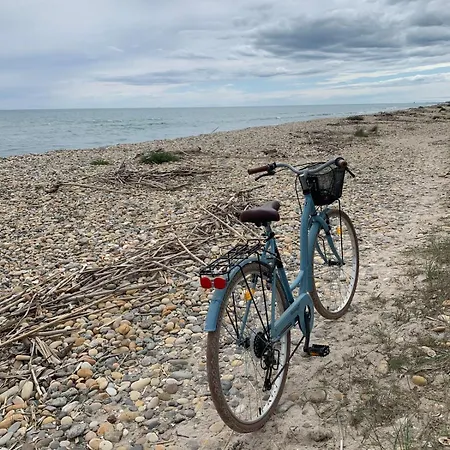 Havre De Paix Proche De La Classé 2 étoiles Hébergement de vacances