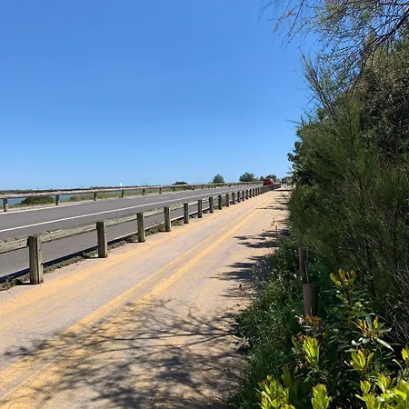 Hébergement de vacances Havre De Paix Proche De La Classé 2 étoiles Vic-la-Gardiole